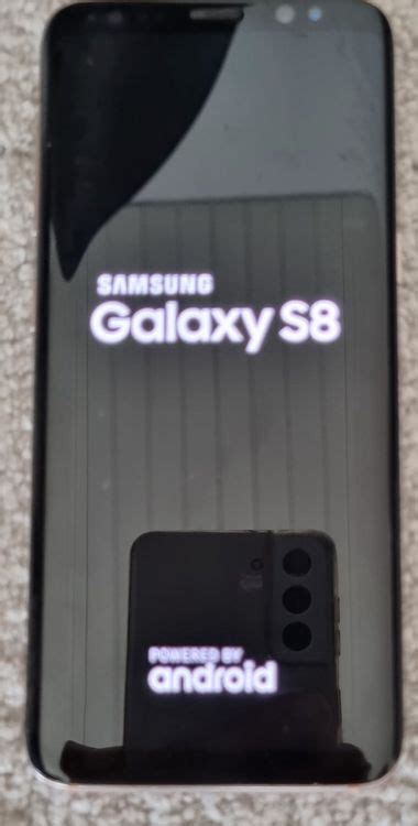 Samsung S8 64gb Kaufen Auf Ricardo