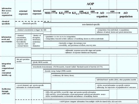 5 Information Flow In Ecotoxicological Risk Assessment Key Features Download Scientific