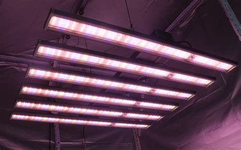 Why choose LED grow lights for your cannabis?|VANQ LED