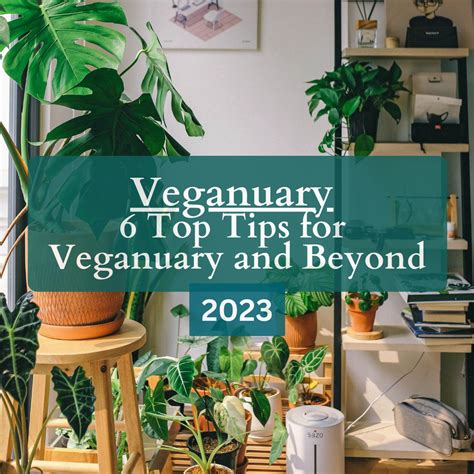 Veganuary 6 Top Tips For Veganuary And Beyond Plastics Free