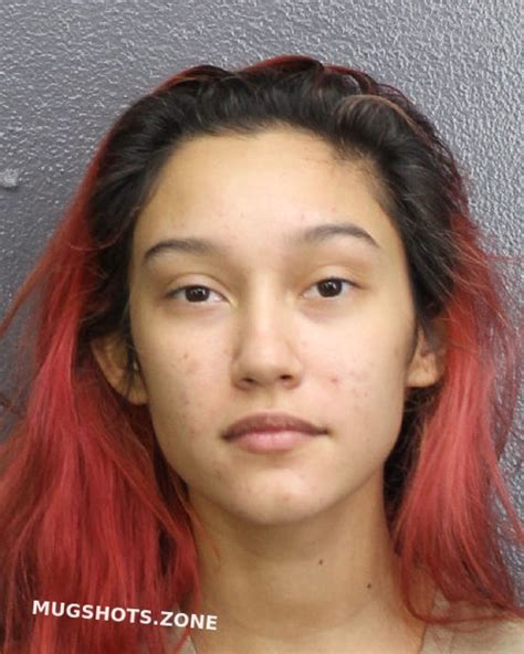 Rodriguez Sophia Broward County Mugshots Zone