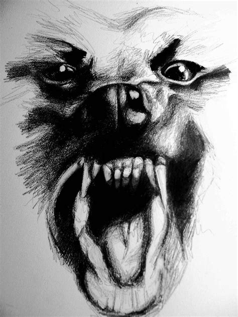 Angry Dog Sketch at PaintingValley.com | Explore collection of Angry ...