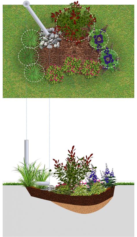 rain gardens lid swm planning  design guide
