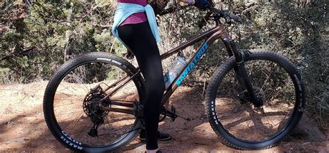 Stolen 2019 Santa Cruz Chameleon