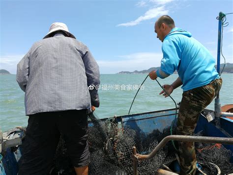 819霞浦高罗出海捕鱼海滩冲浪之行霞浦捕鱼出海新浪新闻