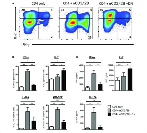 Dn T Cells Altered Cytokine Profile Of Cd T Cells Freshly Isolated