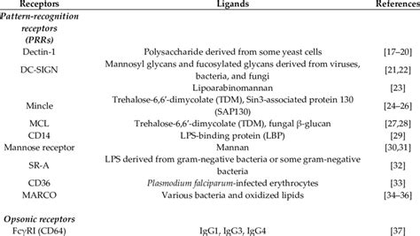 Phagocytic Receptors And Their Ligands Download Scientific Diagram