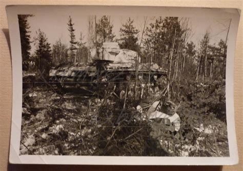 Foto Panzer Iii Im Wald Postimages