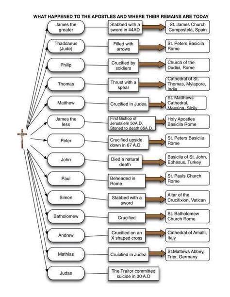 The Apostles ~ Chart By Dr Scott Hahn Showing The Traditional Understanding Regarding The