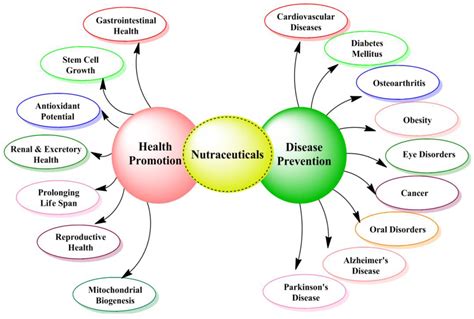 Nutrients Free Full Text A Comprehensive Review On Nutraceuticals