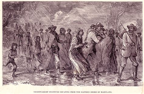 Illustrations Of Group Escapes Slave Stampedes On The Southern