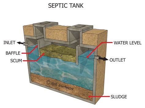 Septic Tank Inspection Gallery Internachi