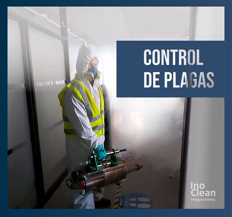 Manejo De Plagas La Importancia De Mantener El Control Inoclean