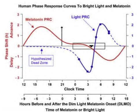 Aasm Board Review Lecture 5 Circadian Rhythm Flashcards Quizlet