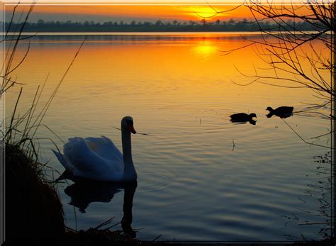 Hintergrundbilder V Gel Sonnenuntergang Meer Wasser Natur