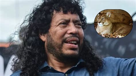 René Higuita veló para que no sacrificaran dos pumas en Antioquia esta