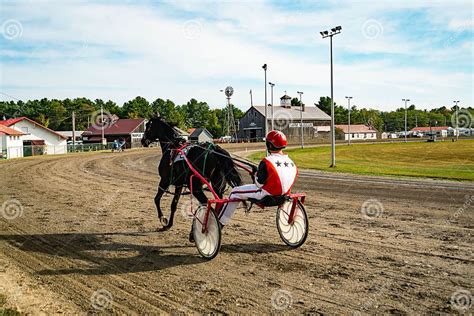 Jockey And Horse Trotting Horse Race Race In Harness With A Sulky Or