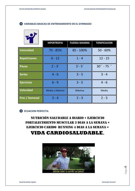 Pautas Basicas Nutricion Entrenamiento Pdf