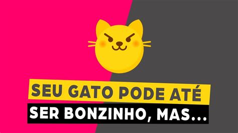 Seu gato pode até ser bonzinho mas se isso acontecer YouTube