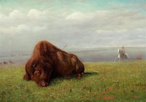 Buffalo Hunting Painting by Albert Bierstadt - Fine Art America