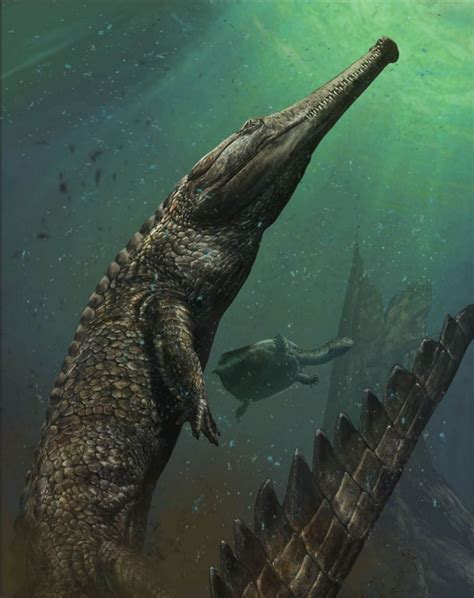 New species of crocodile-like dinosaur discovered - Jammu Kashmir ...