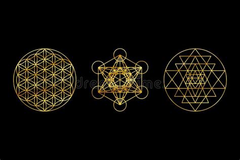 Geometría Sagrada Símbolos De Oro Sobre Fondo Negro Sri Yantra Flor De