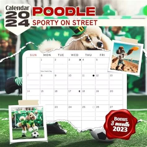 Poodle Sporty On Street Calendar 2024 Jan 2024 To Dec 2024 Bonus 3