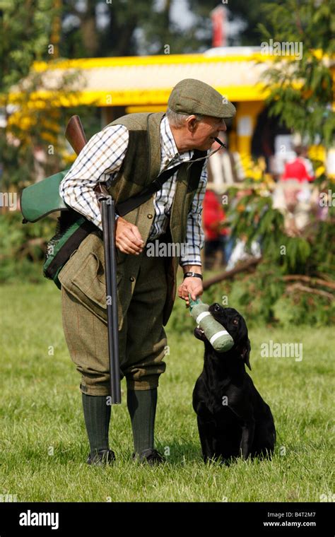 Gun Dog Training Display At The Midlands Game Fair Weston Park