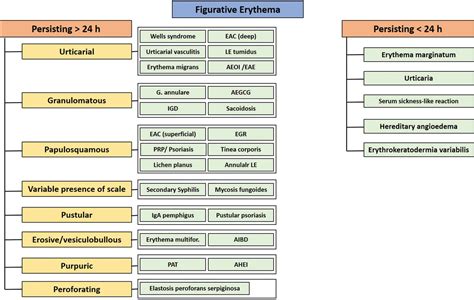 Erythema Marginatum Vs Erythema Multiforme