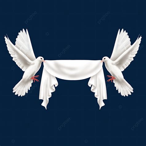 Peace Dove Png Transparent Two Realistic Peace Day Doves And White