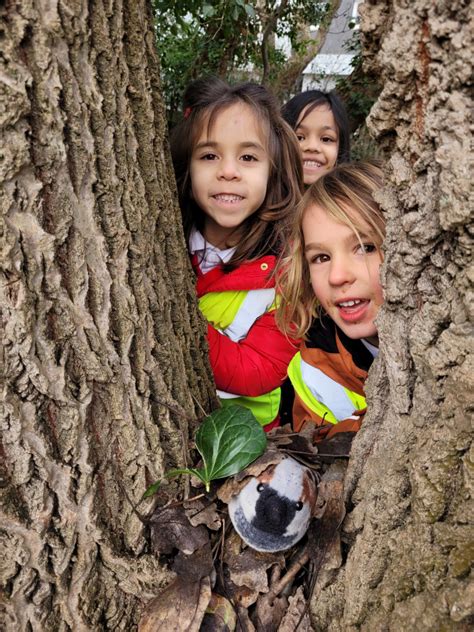 Year 1 Forest School Nest Building Daubeney Primary School