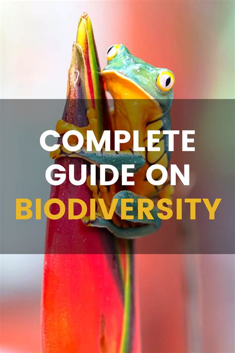 The Importance Of Biodiversity Explained