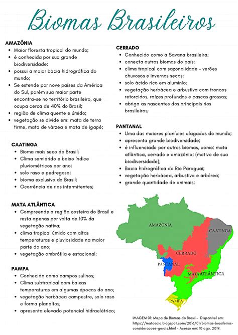 Principais Biomas Brasileiros Resumindo Biomas Bioma Brasileiro