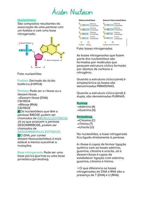 Solution Resumo Cidos Nucleicos Studypool