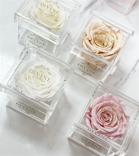 Single Mini Preserved Rose In Acrylic Box My Divine Decors Flower