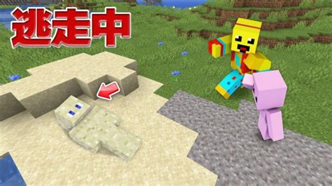 変身してバレずに逃走中した結果【まいくら・マインクラフト】 Minecraft Summary マイクラ動画