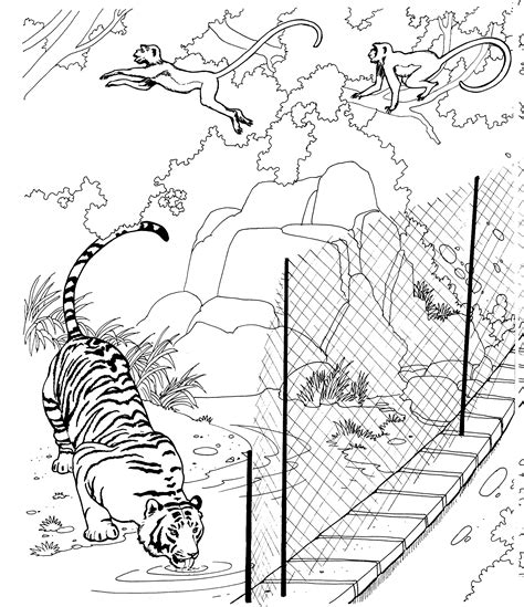 Free Tiger Coloring Pages