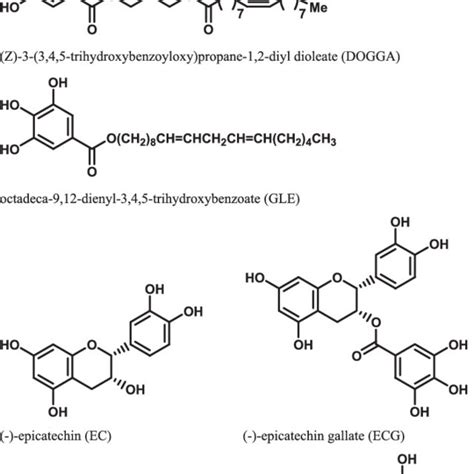 Chemical Structures Of Gallic Acid And Its Esters Download Scientific Diagram