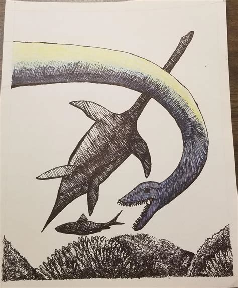 A Plesiosaur artwork I did for an art class a while ago. : r/Dinosaurs