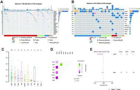 A VAF Of The Top 10 Most Frequent Mutated Genes B A Co Occurrence