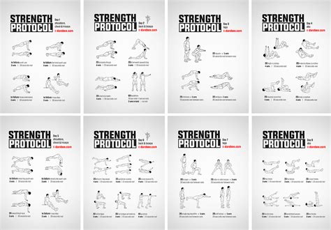 30 Day Calisthenics Workout Plan No Equipment Free - Infoupdate.org