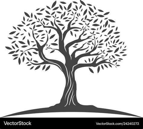 Olive Tree Royalty Free Vector Image Vectorstock