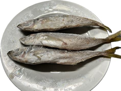 Mullet Whole Fish For Dogs And Cats Gourmet Pet Food Australia