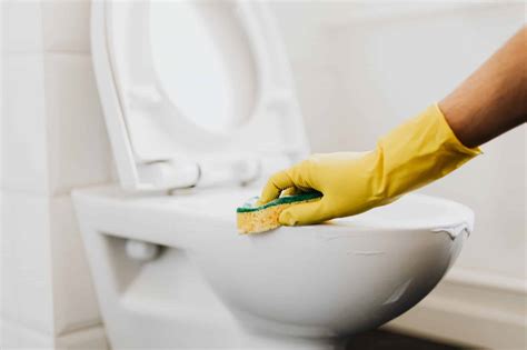 Astuces Pour Nettoyer Ses Toilettes Avec Du Bicarbonate De Soude