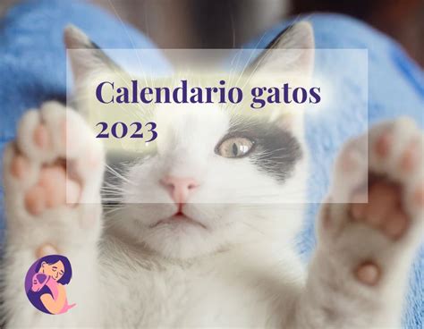 Calendario Gatos Por Siempre Juntos