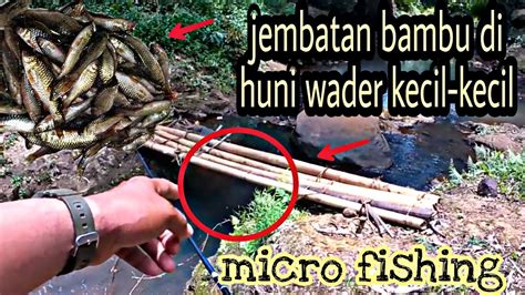 Micro Fishing Mancing Wader Di Sungai Jernih Saat Musim Kemarau Bareng