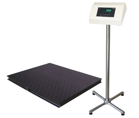 Essae DX 415 Platform Digital Weighing Scale For Industrial Use 1000