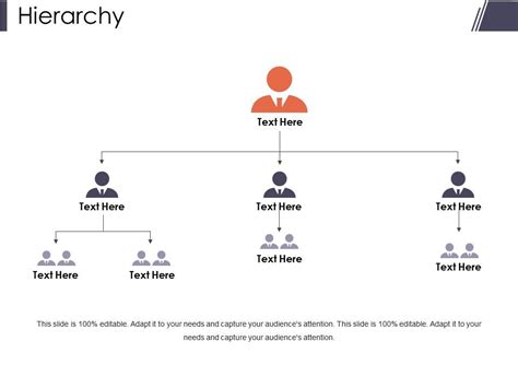 Hierarchy Presentation Layouts Template 1 Powerpoint Presentation