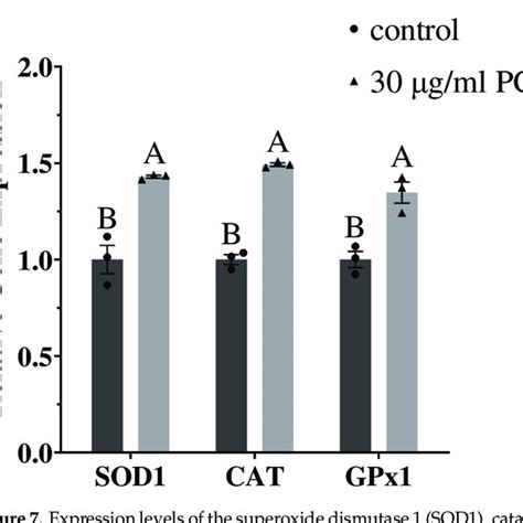 Expression Levels Of The Superoxide Dismutase 1 SOD1 Catalase CAT