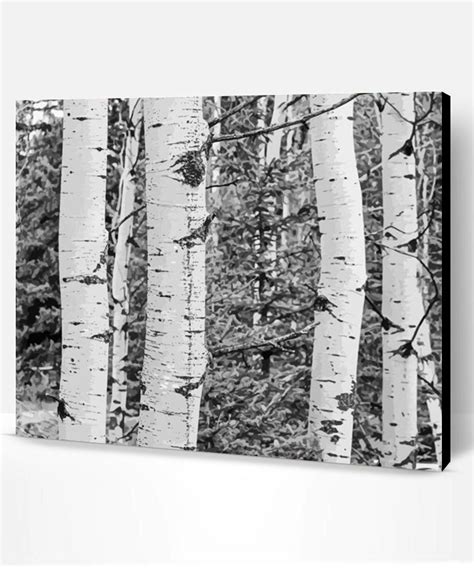 Black And White Landscapes With Birch Trees Paint By Numbers Paint By Numbers Pro